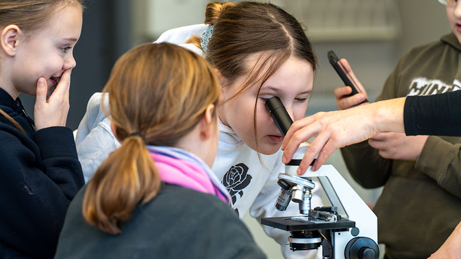 Schülerinnen der 5. Klasse entdecken die Natur beim Blick durchs Mikroskop im NIT Unterricht