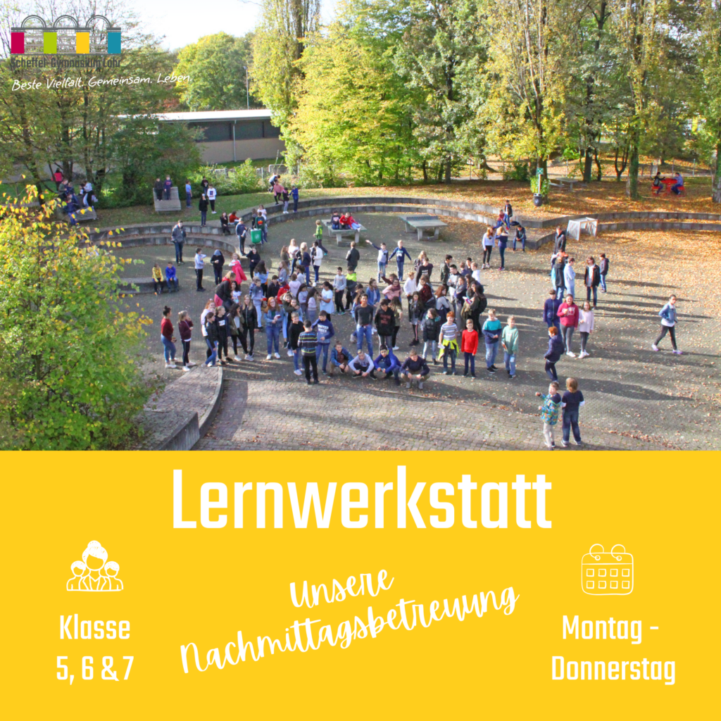 Infografilk zur Lernwerkstatt