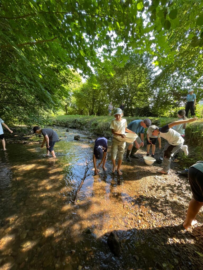 260619ExkursionWaldhaus2 Schüler sammeln im Bach Insekten