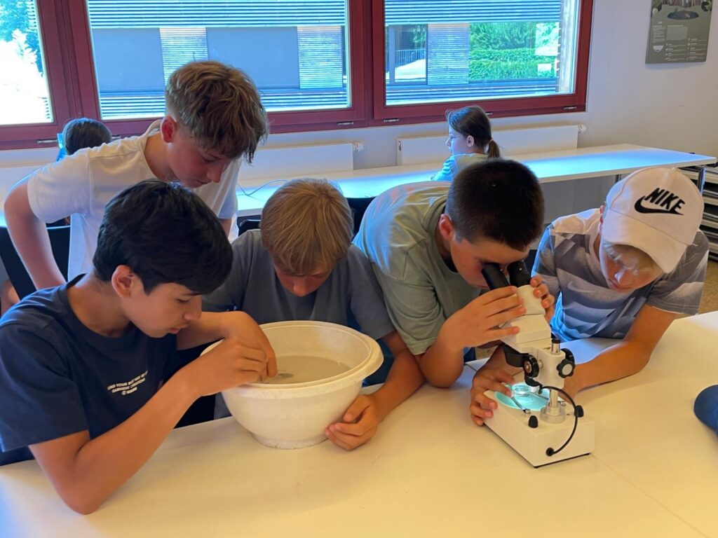 260619ExkursionWaldhaus3 Schüler forschen an verschiedenen Objekten und mit dem Mikroskop